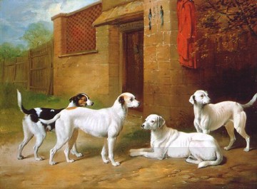 am045D11 動物 犬 Oil Paintings